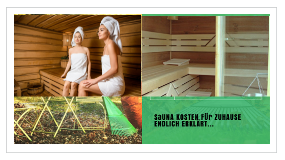 heimsauna kosten