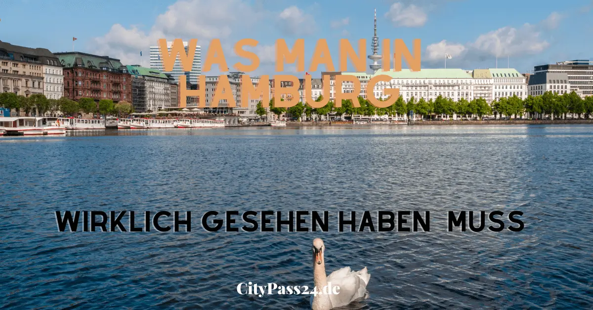 hamburg-binnenalster-mit-schwarn-sehenswürdigkeit